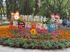 -上海共青森林公园