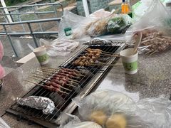 -吴淞炮台湾湿地森林公园烧烤区