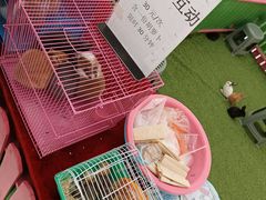 -万达广场(北京槐房店)