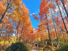 -长广溪湿地公园
