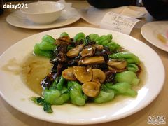 菜心炒双菇-五芳齋(云南南路店)