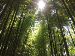 -宝岩生态观光园