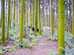 -象山森林公园