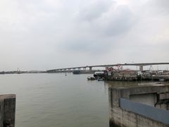 -海鸥岛