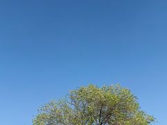 -红嫂家乡旅游区