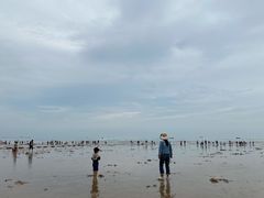 -日照海滨国家森林公园