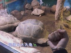 -太原动物园