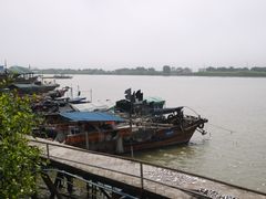 -大湾区中央湿地公园-十九涌