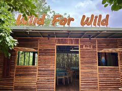 -炉鼎记酒肆•江湖菜•烤全羊(熊婆婆的花园店)