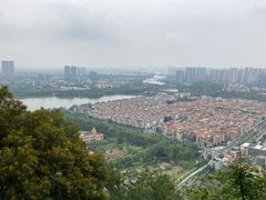 -顺峰山公园