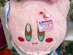 -egggcellent舒芙芮