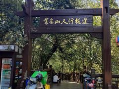 -紫金山山顶公园