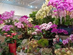 -双季花艺园艺市场(浦东店)