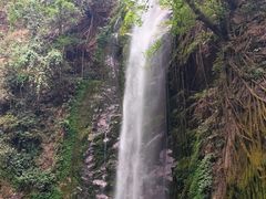 -莫里热带雨林景区