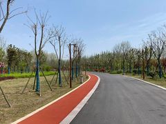 -黄海国家森林公园