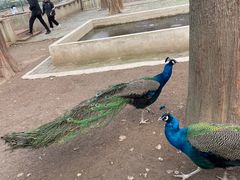 -南京金牛湖风景区