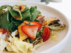 -食神鱼头佛跳墙(百子湾旗舰店)