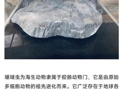 -中国第四纪冰川遗迹陈列馆