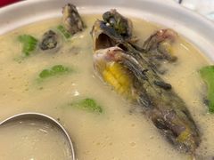 苦瓜黄骨鱼-亢龙太子酒轩·花园店