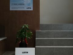 -LOTTA COFFEE(安居博文苑店)