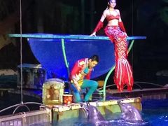 -大连圣亚海洋世界