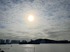 -海鸥岛
