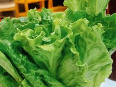 生菜-陈记顺和潮汕牛肉火锅(棠德南路店)