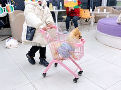 -怪兽屋·羊驼·猫咖·狗咖(俊华广场店)