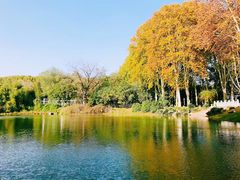-河南省黄河迎宾馆