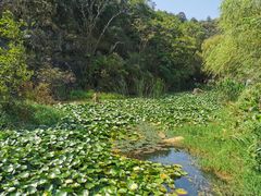 -武汉姚家山旅游景区
