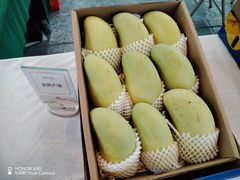 -三亚湾红树林国际会展中心(演出售票)