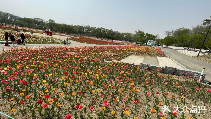 北陵公园图片