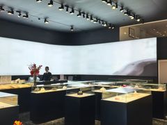 -BLACKSWAN黑天鹅(环球店)