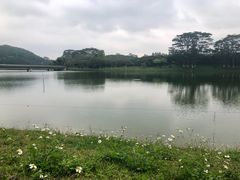 -东莞植物园