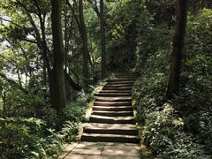-青城山