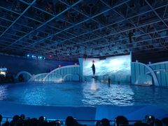 -海合安青岛极地海洋公园