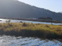 -腾冲北海湿地