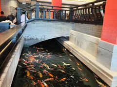 -龙悦湾酒家·八阵鱼生·渔人码头店
