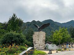 -北京鹫峰国家森林公园