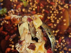 -味之绝热血美蛙鱼火锅(中坝店)