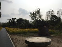 -溱湖国家湿地公园