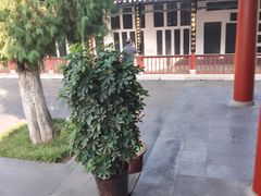 -万寿八仙宫