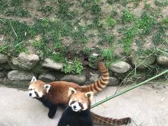 -西安秦岭野生动物园