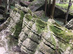 -梭布垭石林景区