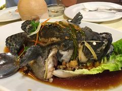 老虎斑-真浪花园海鲜餐馆