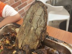 -同济大排档