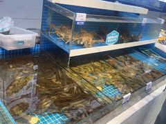 -大锅强·蒸海鲜青岛菜(吾悦广场店)