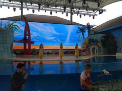 -三亚海昌梦幻海洋不夜城