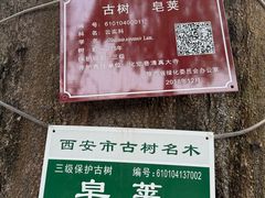 -西安化觉巷清真大寺