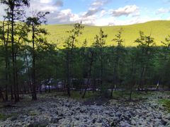 -莫尔道嘎国家森林公园